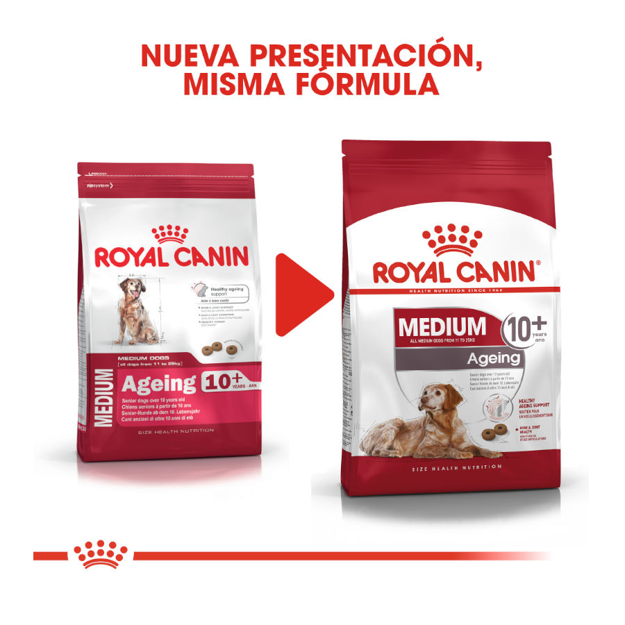 Royal Canin Adult 10+ Medium ração para cães, , large image number null